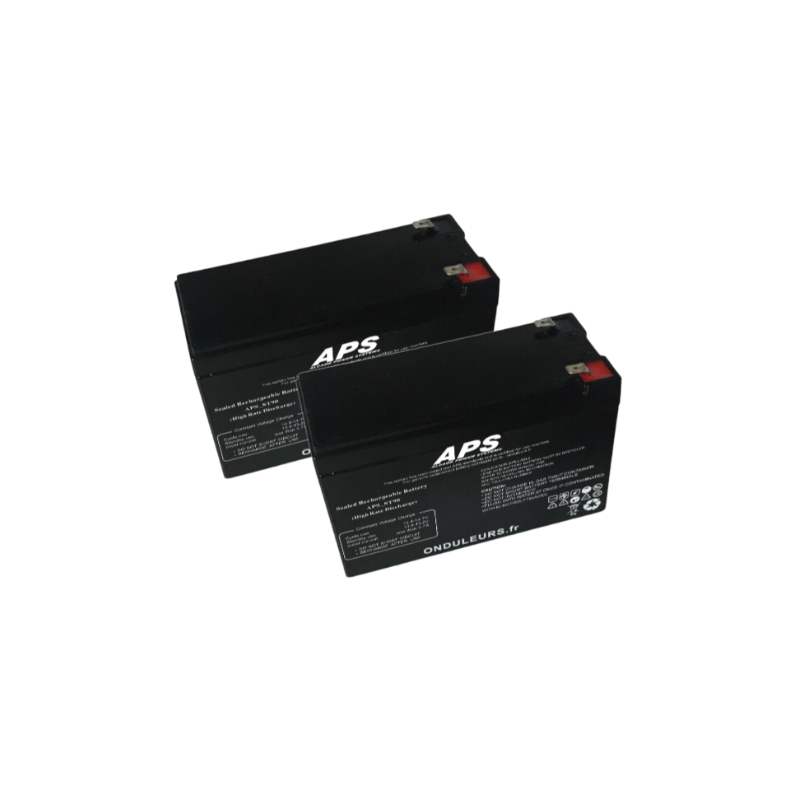 BAT581 - Kit batteries pour onduleur APC Smart-UPS 750 Rack2U SUA750RMI2U (RBC22)