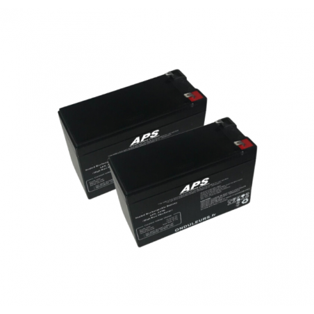 BAT5100 - Kit batteries pour onduleur APC BACK-UPS BX 2200 VA - Référence BX2200MI-FR