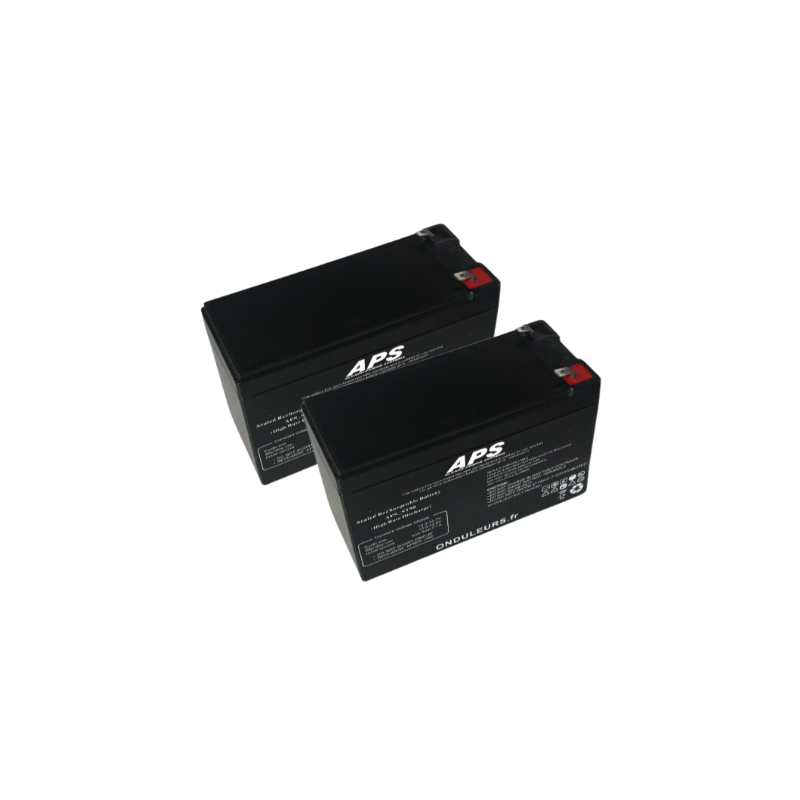 BAT5096 - Kit batteries pour onduleur APC BACK-UPS BX 1200 VA - Référence BX1200MI-FR