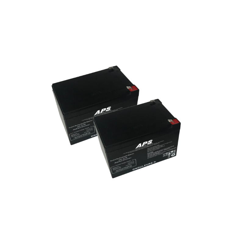 BAT507 - Kit batteries pour onduleur APC Back-UPS Pro 1000 (RBC6)