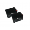 BAT507 - Kit batteries pour onduleur APC Back-UPS Pro 1000 (RBC6)